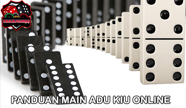 Panduan Main Adu Kiu Online Terbaru!!